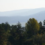 Wycieczki