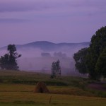IMGP4184